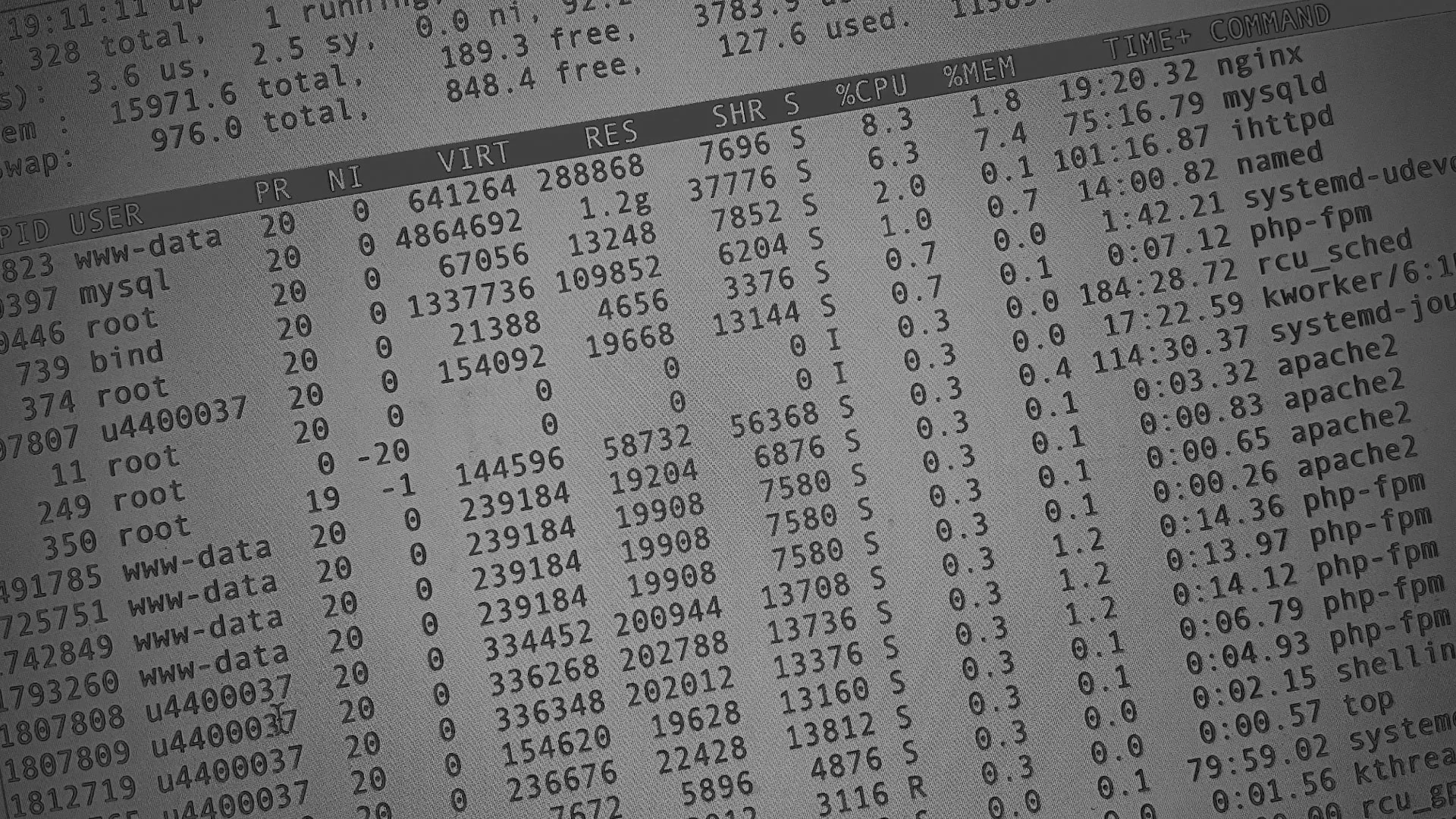 Настройка сервера в Сельцо